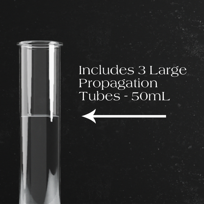 5-Tube Plant Propagation Station | Quintuple Collection