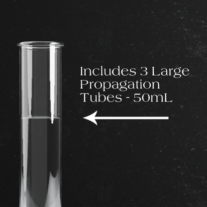 5-Tube Plant Propagation Station | Quintuple Collection