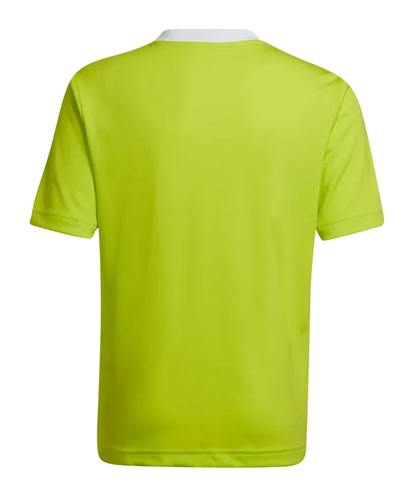 Entrada 22 Jersey (HC5077) Apparel Adidas