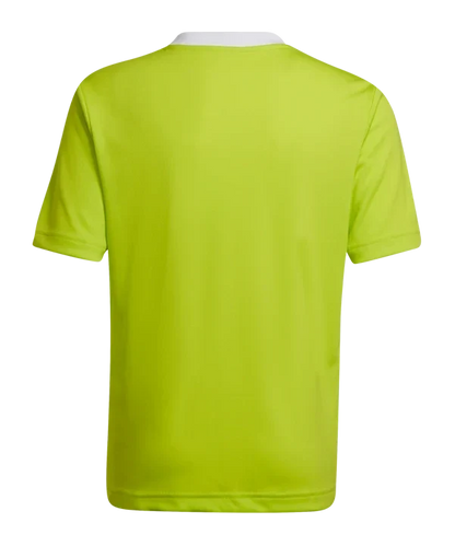 Entrada 22 Jersey (HC5077) Apparel Adidas
