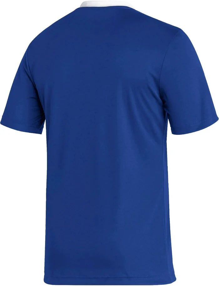 Entrada 22 Jersey (HG6283) Apparel Adidas