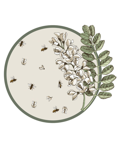 Fleur Spill-Proof Placemats (set of 6)
