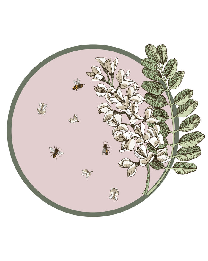 Fleur Spill-Proof Placemats (set of 6)