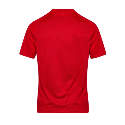 Men's Park 8 Jersey (HV8173-657)