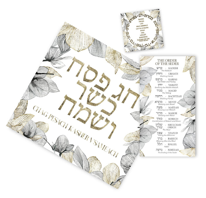 PASSOVER CHAG SAMEACH PAPER PLACEMAT