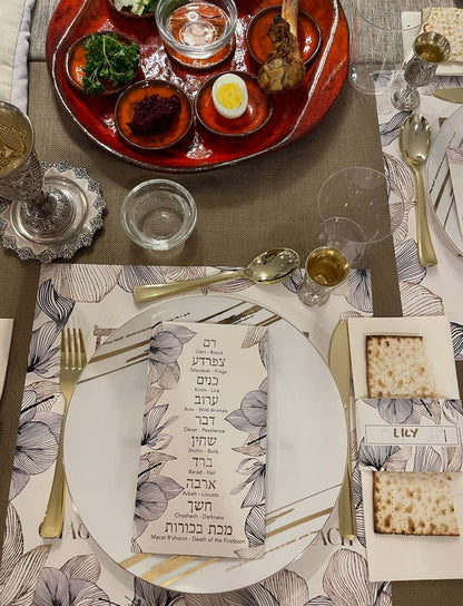 PASSOVER CHAG SAMEACH PAPER PLACEMAT