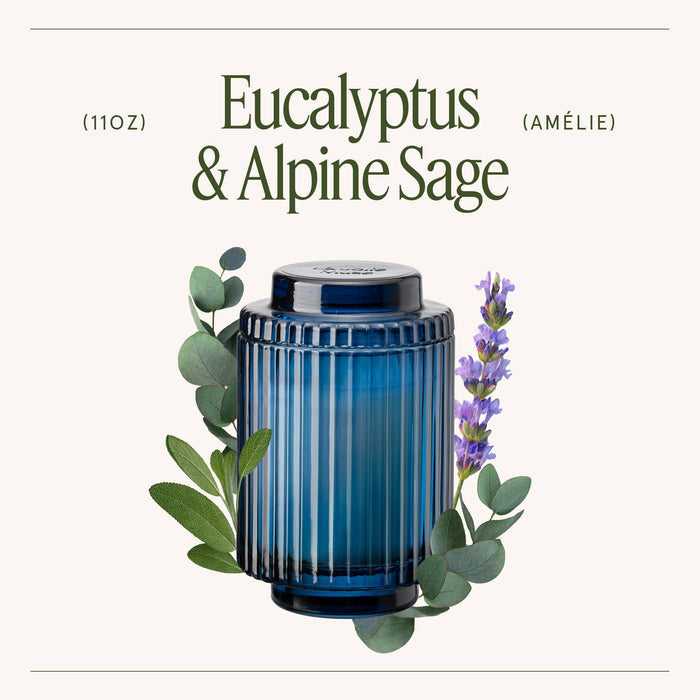 Scented Candle - Eucalyptus & Alpine Sage - 11oz | LJM