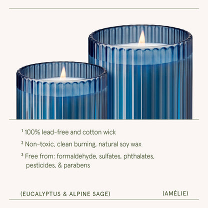 Scented Candle - Eucalyptus & Alpine Sage - 11oz | LJM