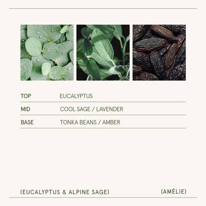 Scented Candle - Eucalyptus & Alpine Sage - 11oz | LJM