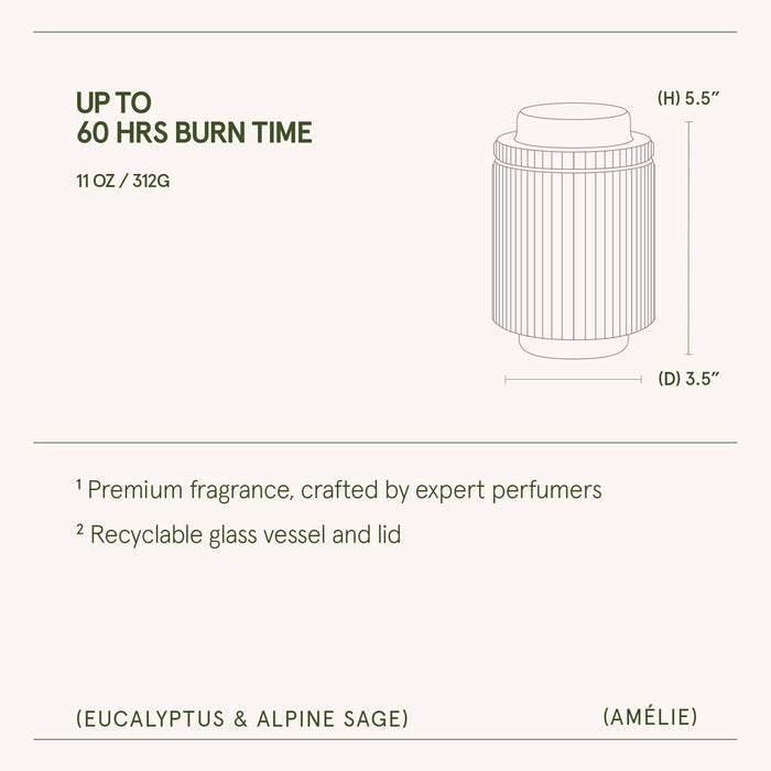 Scented Candle - Eucalyptus & Alpine Sage - 11oz | LJM