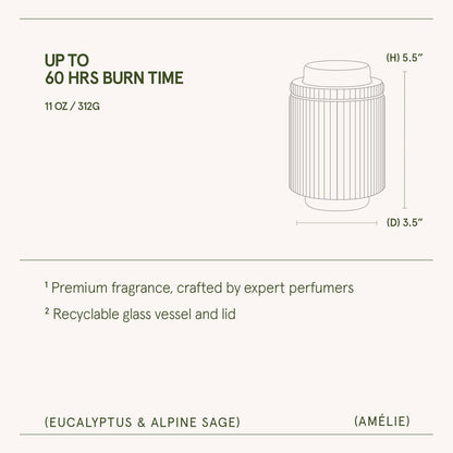 Scented Candle - Eucalyptus & Alpine Sage - 11oz | LJM