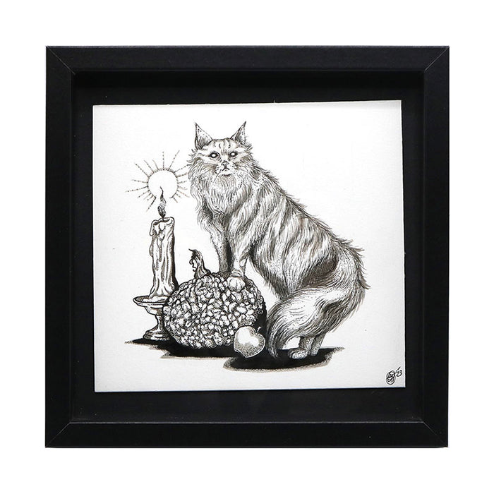 Thackery Binx - Hocus Pocus