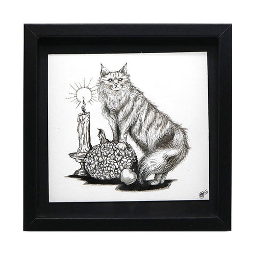 Thackery Binx - Hocus Pocus