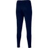 Women's Dri-FIT Academy Pants (DR1671-451) Teamwear Pants Nike